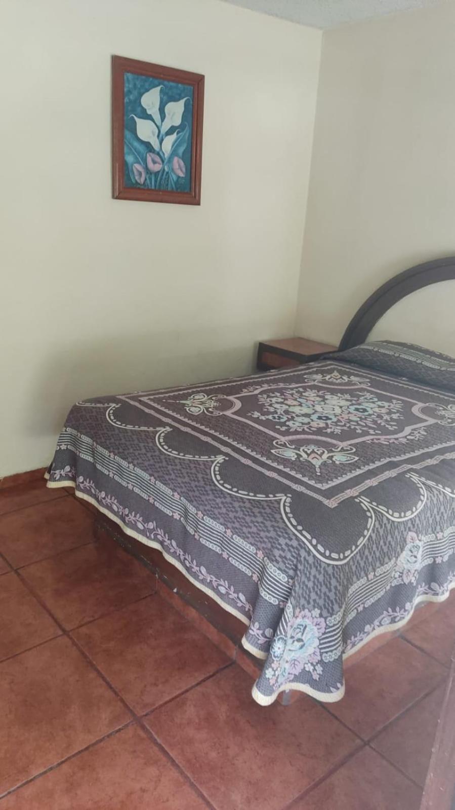 D' Alba Hotel 3*